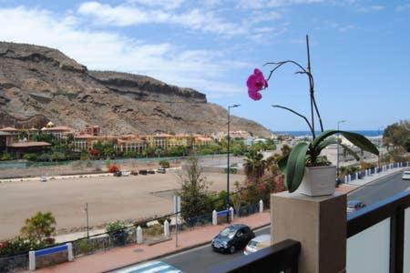 Apartamento Aleo Apartament Puerto De Mogan Zewnętrze zdjęcie